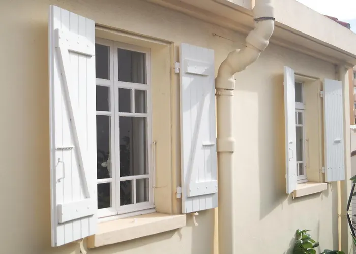 Magnifique Catalan A 50m De La *